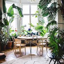 Interior Plants Design Small Indoor Plants Plant Decor Interior Plants