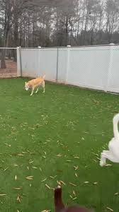 Daisy, Winston and...