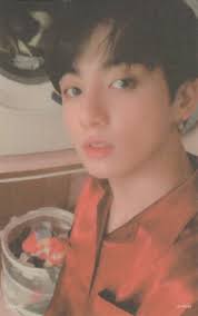 Map Of The Soul Persona Photocard Gambar Selebritas Virgo