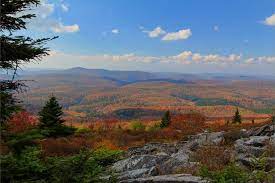 No joke, my sister and i were pulling out of a mcdonald's once, one that is in the middle of a city, and a gray fox ran across the main road! Where To Find The Best Mountain Views In West Virginia