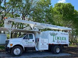 We did not find results for: Timber Tree Service Home Facebook
