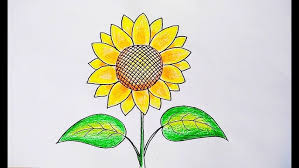 Bunga matahari hitam putih jpg. Cara Menggambar Bunga Matahari Cara Menggambar Bunga Yang Mudah Youtube