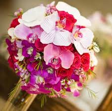 We've selected our top 20 tropical you can also use tropical flowers to elevate your decor or spice up your bridal bouquet. Bridal Bouquet Styles Tropical Flowers