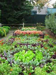 Astrologische mondkalender beginnen mit der historischen sternenteilung in zwölf gleich große tierkreiszeichen und vergessen ihre verschiebungen im vergangenen. Mondkalender 2015 Fur Garten Interessante Fakten Und Nutzliche Tipps Hinterhof Gemusegarten Gartendesign Ideen Gartenerde