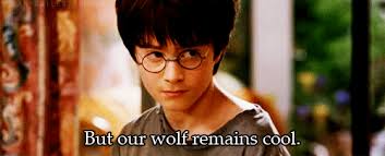 Kirk Jesus Is My Homeboy. I fell down a music industry rabbit…