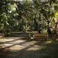 Volunteer Open House - Gore Preserve event in Naples, FL