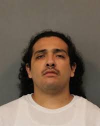 Man retrieved gun after fight, shot family friend 8 times, records allege