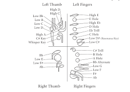 file standard bassoon fingering keys diagram png wikimedia