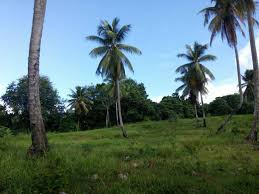 The international acre is 4 046.856 422 4 m² (for the uk, see). 21 780 Sq Ft Of Land For Sale In Marigot At Us 40 510