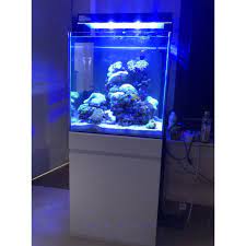 Proses pengisian aquarium air laut dengan truk tangki 8000 liter stainless steel. Disini Aja Paket Cabinet Meja Aquarium Air Laut Uk 60x60cm Stok Terbatas Shopee Indonesia