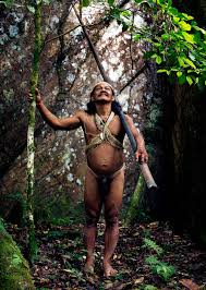 Image result for Hua gabonii