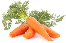 11 Essential Winter Foods For Kids Hi children, we can learn about winter season easily with the help of the below images/pictures. 11 essential winter foods for kids