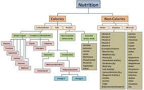 This article reviews the best macronutrient ratio for weight loss and why. Nutrition Nutrition Chart Nutrition Nutrition Recipes