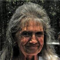 Mrs. Coleen Conner Wilson Obituary