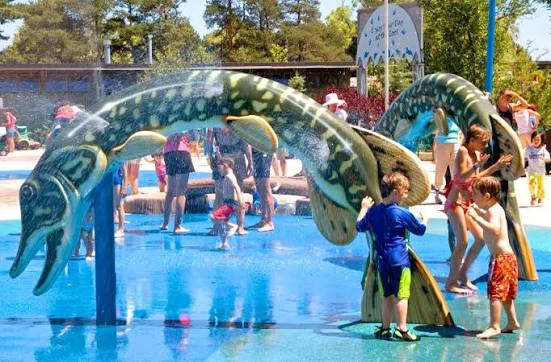 Toronto Zoo | Splash Island