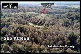 Scooba, MS Land for Sale