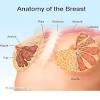 Breast pain can come from a number of sources. 1