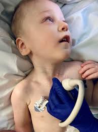 Lane has a ton of things going on...