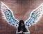 Colorful Wings Wall Art