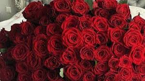 Best 70 rose day wishes shayari 2021. Happy Rose Day 2021 Red For Love Yellow Denotes Friendship Here S Complete List Of Colours Meaning Relationships News India Tv