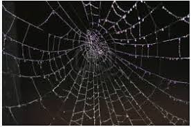 Image result for fritz radovani bijte e stalinit jemi