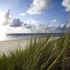 Ganz gleich, ob auf dem niederländischen deshalb eignet sich die niederlande wunderbar für einen holland urlaub am meer und du musst. Ferienhauser Holland Am Strand Camping Oase