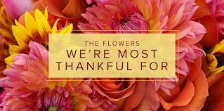 They are often seen growing as wildflowers, but are just as popular to send as a. 5 Of Our Favorite Flowers Central Square Florist Central Square Florist