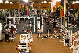 goldsgym gold s gym wikipedia