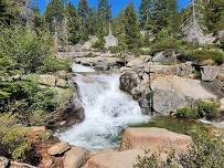 Wild Edible & Medicinal Plants of Shirley Canyon