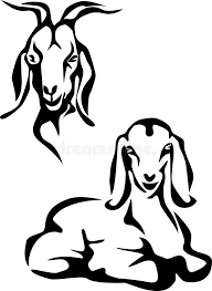 Baby Goat Clipart Black And White Photo About Boer Goat Stylized Black And White Illustration Illustration Of Meat Portrait Domestic 367170 Goat Art Drawings Black And White Illustration