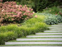 Hydrangea Bobo And Little Quick Fire Dwarf Shrubs Hoerr Schaudt Garden In Chicago S Lincoln Park Gard Garden Design Magazine Garden Design Landscape Design