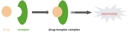 We did not find results for: The Chemistry Behind Drug Receptor Interaction