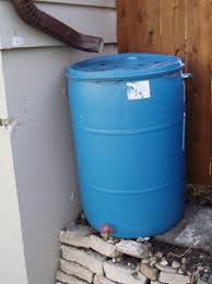 Rain barrels are available at most garden centers and home improvement stores. Rain Barrels Wisconsin Horticulture