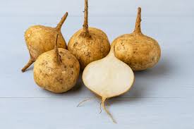 Image result for Senecio pachyrhizus