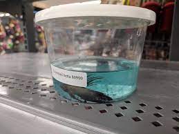 Maybe you would like to learn more about one of these? How Is Wal Mart Still Allowed To Sell Fish In 2019 Walmart