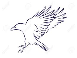 Silhouette of a raven on a coniferous tree on white background. The Black Silhouette Of A Crow Circuit Birds Flying Rook Raven Royalty Free Cliparts Vectors And Stock Illustration Image 141963876
