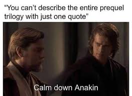 The Best Star Wars Prequel Memes Star Wars Quotes Star Wars Jokes Star Wars Humor