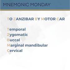You want a great car to take you around zanzibar whether you're traveling for a business or pleasure. It S Mnemonic Monday To Zanzibar By Motor Car Next Steps In Dermatology
