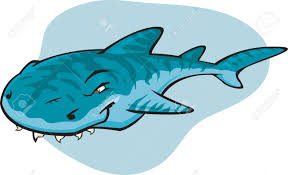 Tiger sharks are named for the dark, vertical stripes found mainly on juveniles. Una Ilustracion De Dibujos Animados Del Famoso Tiburon Tigre Parte De Una Serie De Especies De Tiburones Diferentes Ilustraciones Vectoriales Clip Art Vectorizado Libre De Derechos Image 12117712
