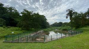 It is expected to be completed by 2023. Hiking Clementi Forest A Secret Route Off The Green Corridor The Travel Intern