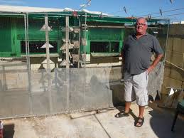 News From Gozo (Malta) March 2013