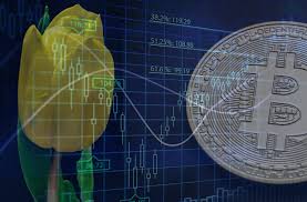 Nigeria is one of the most important countries in africa and regional power. What Bitcoin Tulip Mania And The Nigerian Stock Market Have In Common Global Voices