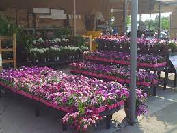 Photos From Posts Flower Display Garden Center Retail Display