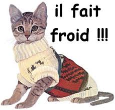 Résultat de recherche d'images pour "froid et chat"