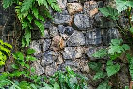 Image result for Terrarium Cling Background