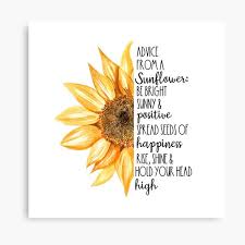 No physical item will be sent to you. Sunflower Seeds Gifts Merchandise Redbubble