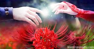 Hình xăm hoa bỉ ngạn có ý nghĩa gì? XÄƒm Chá»¯ Y NghÄ©a Co Hoa Bá»‰ Ngáº¡n Hinh Hoa Bá»‰ Ngáº¡n Ä'áº¹p Truyá»n Thuyáº¿t Y NghÄ©a Vá» Hoa Bá»‰ Ngáº¡n