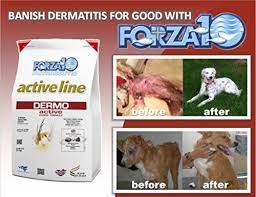 Forza10 Dermo Active For Sensitive Skin Dry Dog Food 1 18lbs Bag To View Further For This Item Visit The Im Dry Dog Food Dog Food Recipes Sensitive Skin