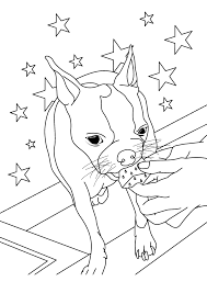 Created, designed and painted by the artist brian rubenacker. Boston Terrier Coloring Pages Free Printable Color Pages Boston Terrier Society