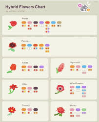 Animal Crossing Here S A Helpful Chart To Make Hybrid Flowers In 2020 Animal Crossing Flower Chart Animal Crossing Guide